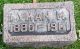 Lyman Marten Davis Headstone