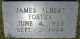 James Albert Foster Headstone
