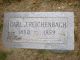 Carl John Reichenbach Headstone