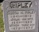 Austin N. Ripley, Julia Patrick and Myron Ripley Headstone 