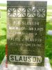 Frederick Douglas Slauson and Alice Jane Cummings Headstone