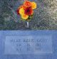 Willie Albert Cazey Headstone