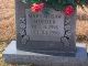 Mary Hisaw Holder Headstone