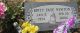 Bertie Faye Beeman Armstrong-Newton Headstone
