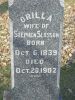 Orilla Philena Rice Slosson Headstone