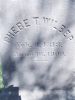 Phebe T. Ashley Bisbee Wilber Headstone